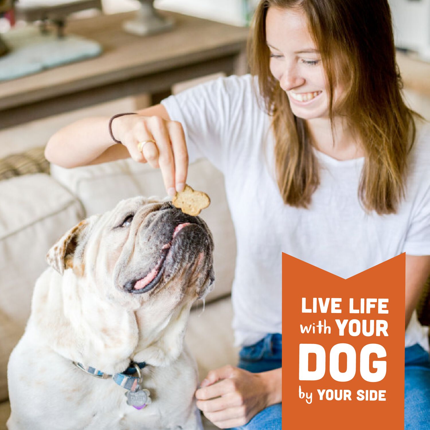 Wag More Bark Less Cloud Star Grain-Free Dog Treat, Oven Baked With Peanut Butter & Apples , 14-Oz