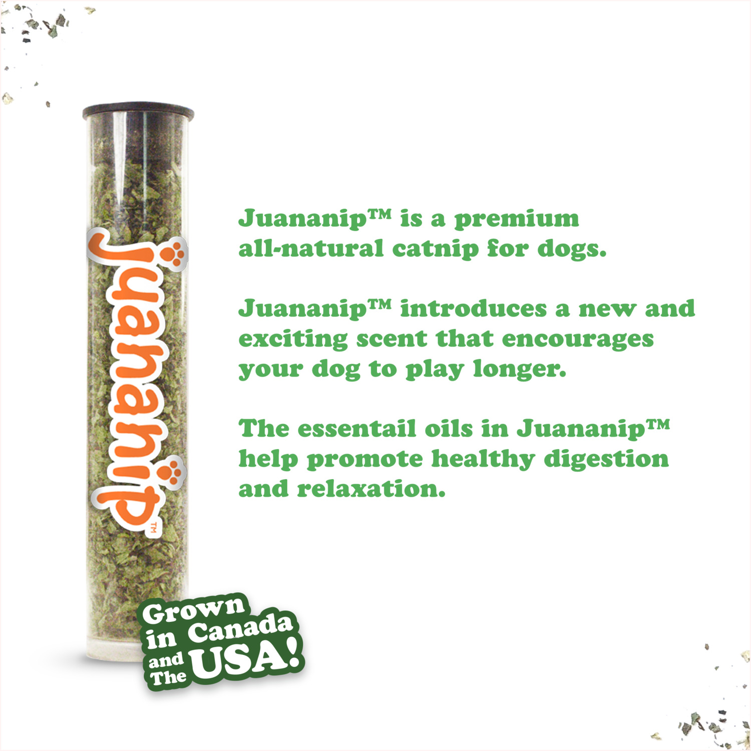 Doggijuana Tuffer Chewer Crunchy Taco Durable Dog Toy With Juananip Catnip