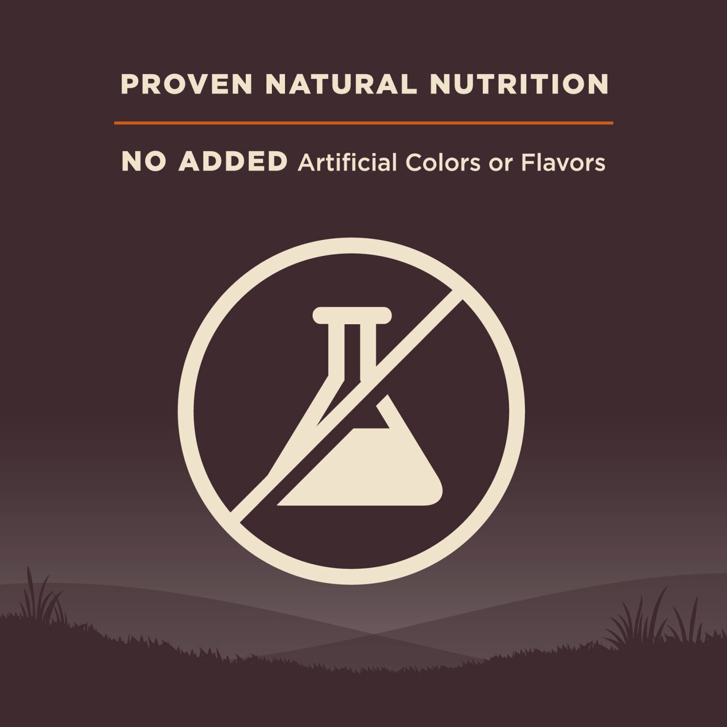 Wellness Core Natural Grain Free Dry Dog Food Original Turkey & Chicken Recipe, 24-Pound Bag