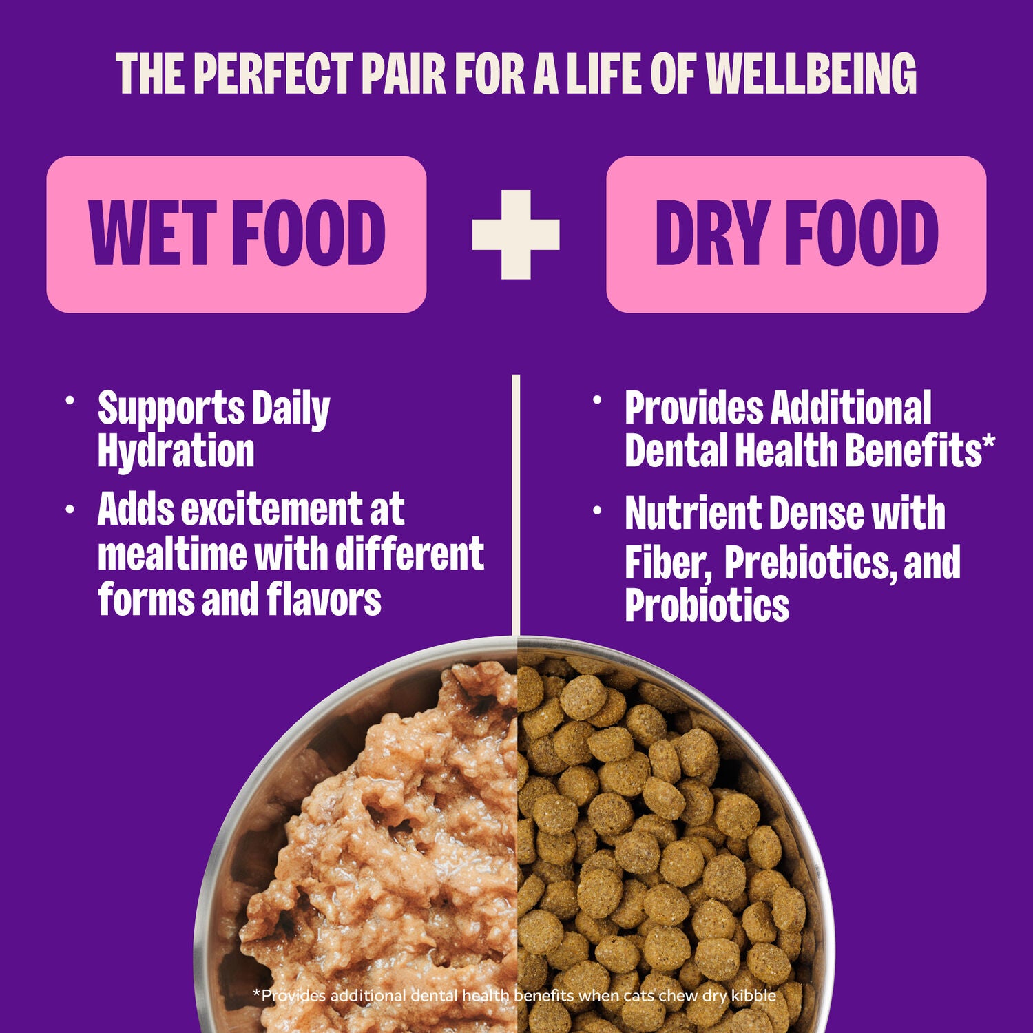 Wellness Complete Health Pate Adult Wet Cat Food, Natural, Protein-Rich, Grain-Free, 3-Ounce , 12-Pack, Seafood Variety Pack