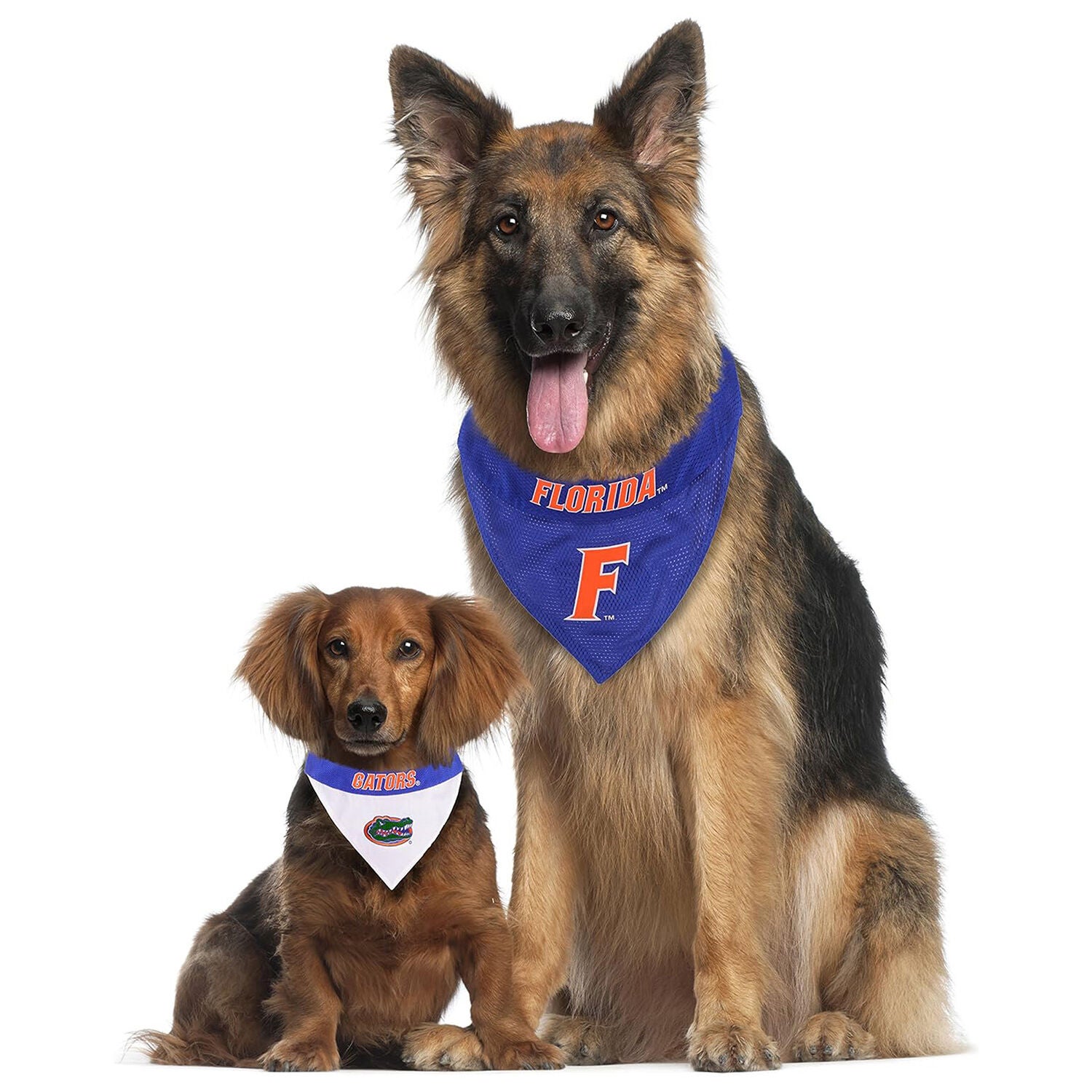 Pets First Ncaa Collegiate University Of Florida Gators Reversible Dog Bandana, Large/Extra Large