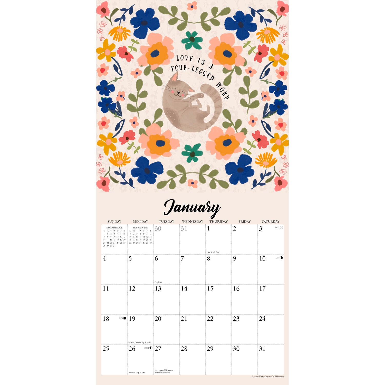 Willow Creek Press 2026 Every Home Needs A Cat Wall Calendar