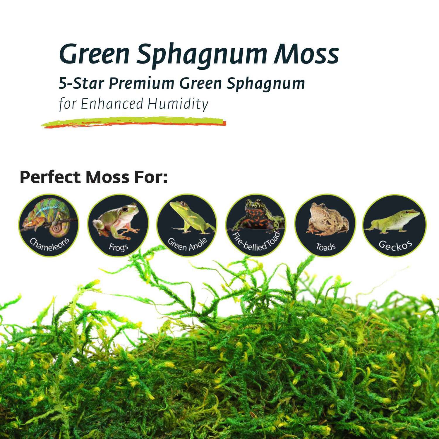 Gal&aacute;pagos Terrarium Sphagnum Moss Reptile Substrate, Fresh Green, 4Qt Stand-Up Pouch