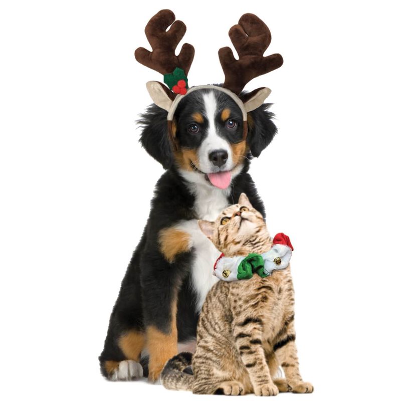 Holiday Antler Headband For Dogs image number 3