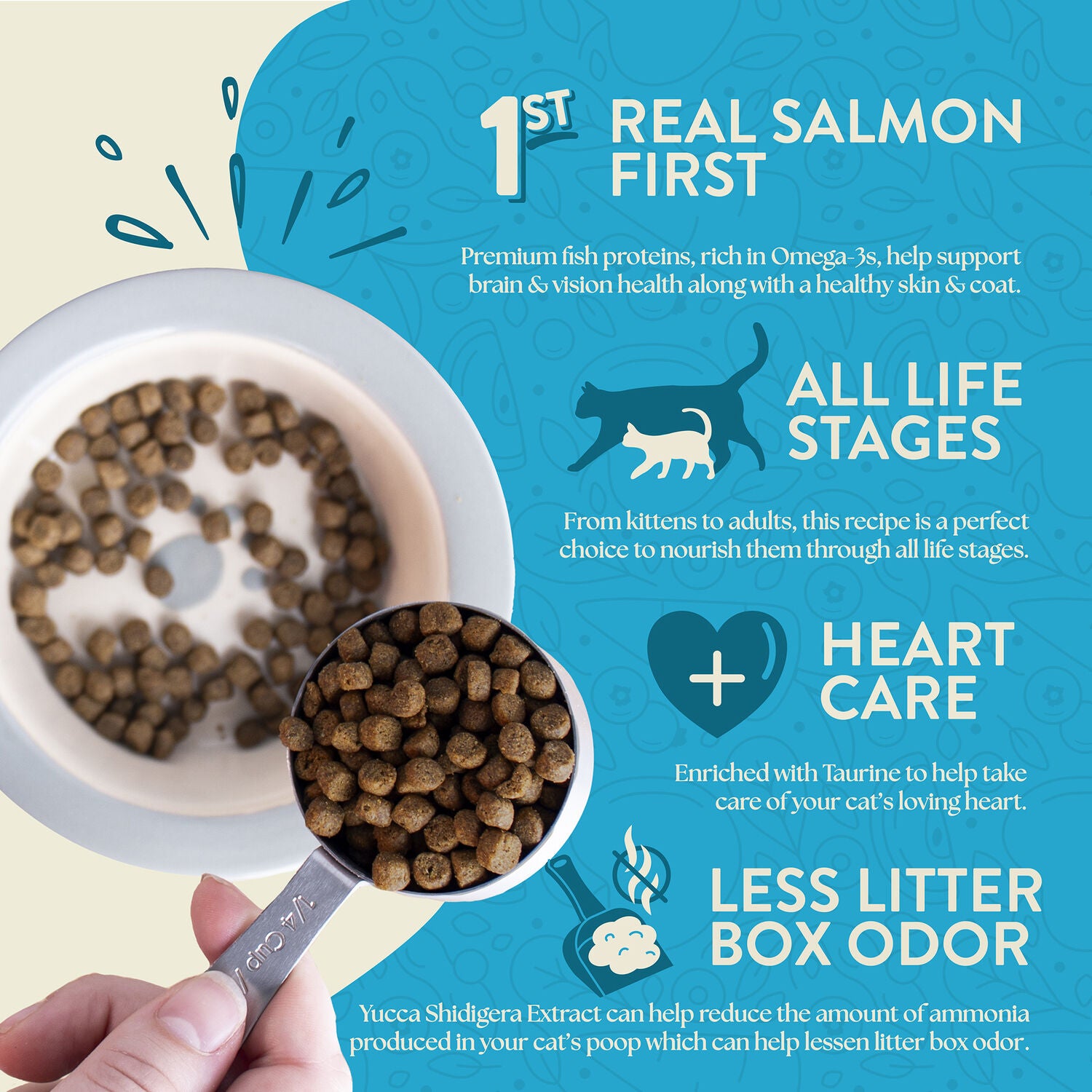 Earthborn Holistic Grain-Free Indoor Formula Dry Cat Food, Wild Sea Catch - Salmon & Vegetables Recipe, 12.5-Lb