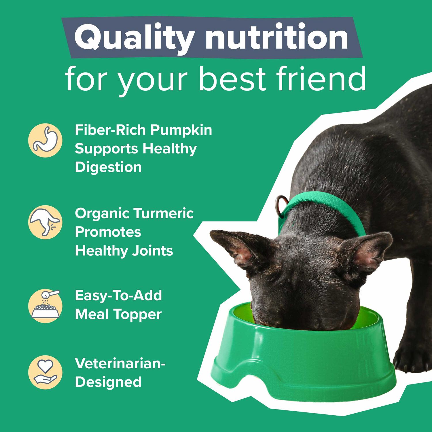 Dr. Marty Better Life Boosters Pumpkin Blend Dog Supplement, 3.17-Oz