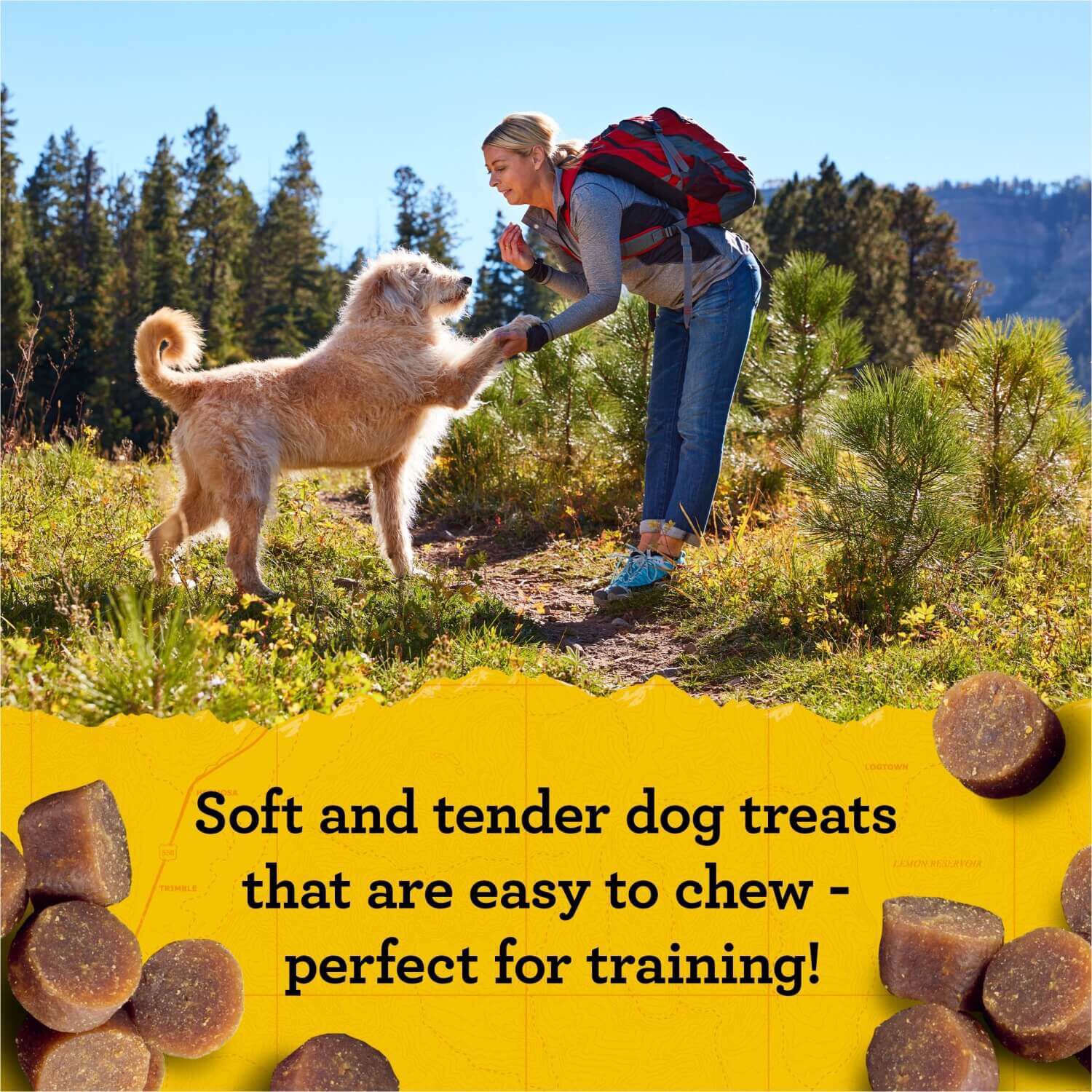 Zuke's Mini Naturals Beef Recipe Dog Training Treats