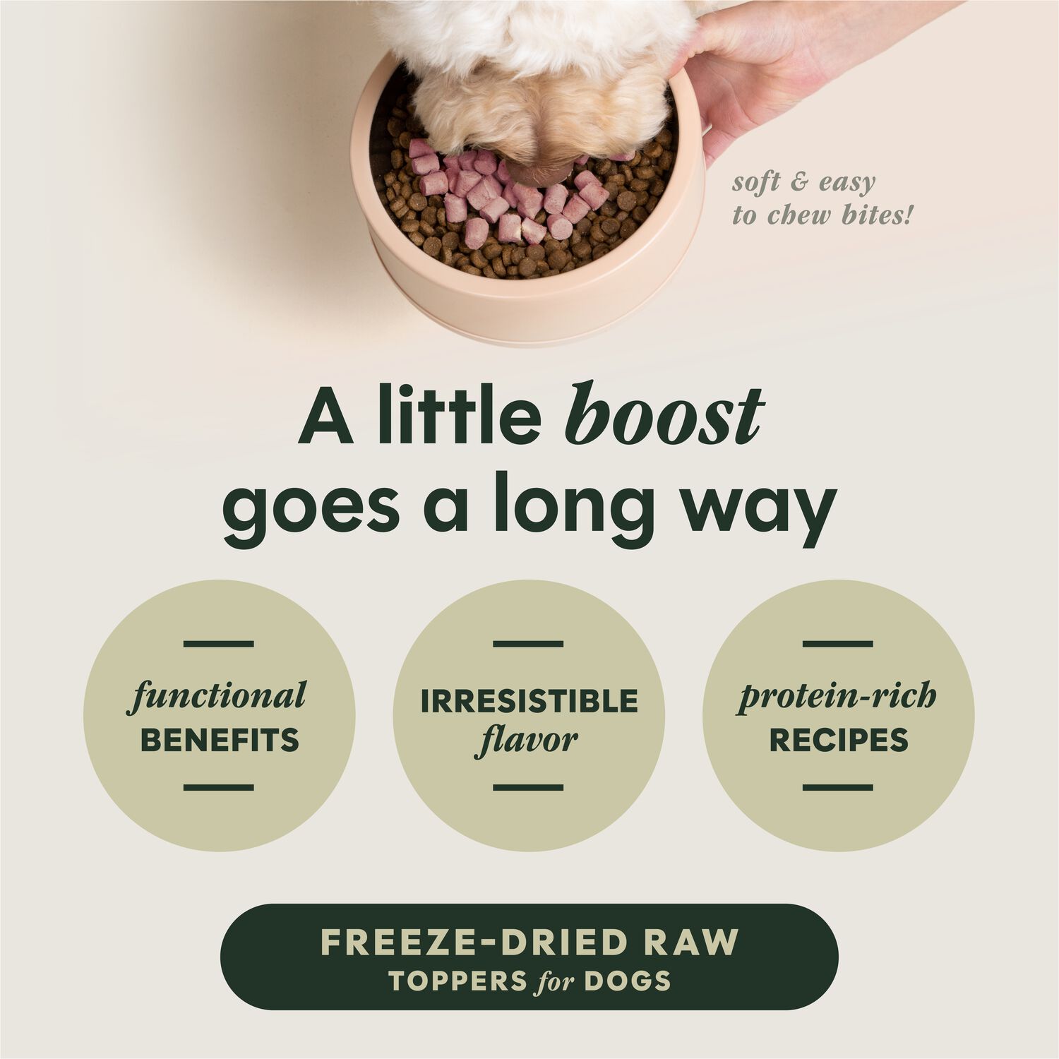 Instinct Freeze-Dried Raw Boost Mixers Grain-Free Skin & Coat Health Recipe Dog Food Topper, 5.5-Oz Bag