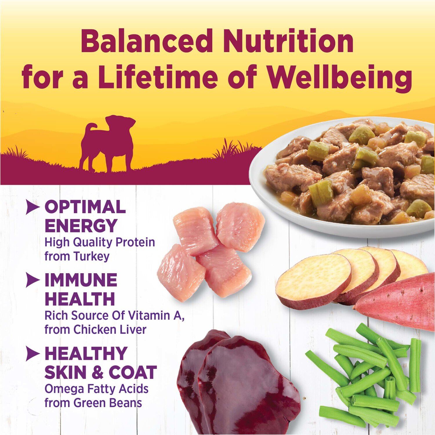 Wellness Petite Entr&eacute;es Mini-Filets Small Breed Wet Dog Food With Tender Turkey, Green Beans & White Sweet Potatoes In Gravy, 3-Ounce Cup