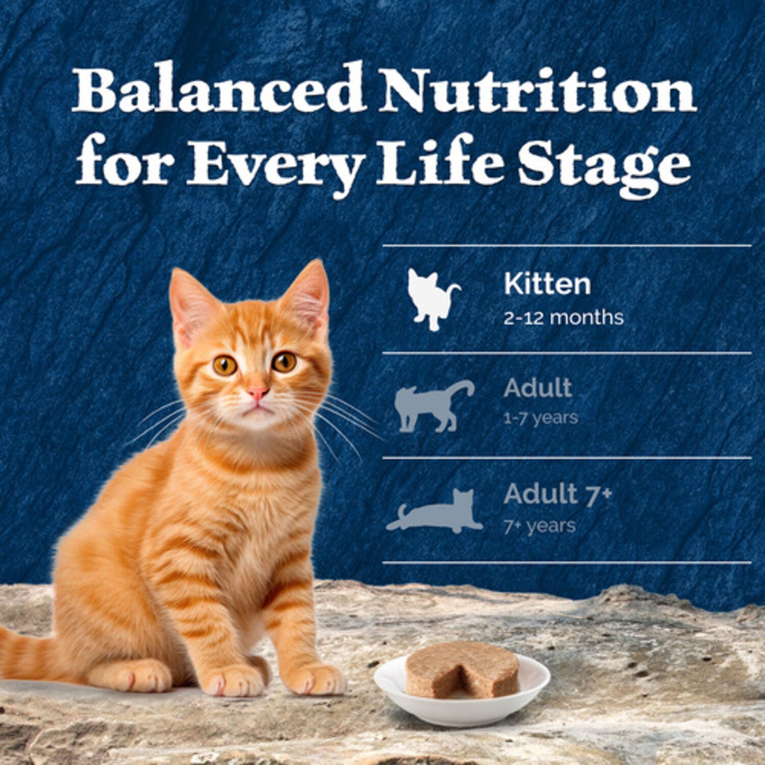 Blue Buffalo Wilderness Kitten Chicken & Salmon Pate Wet Cat Food, Variety Pack, 3-Oz - 6 Pack
