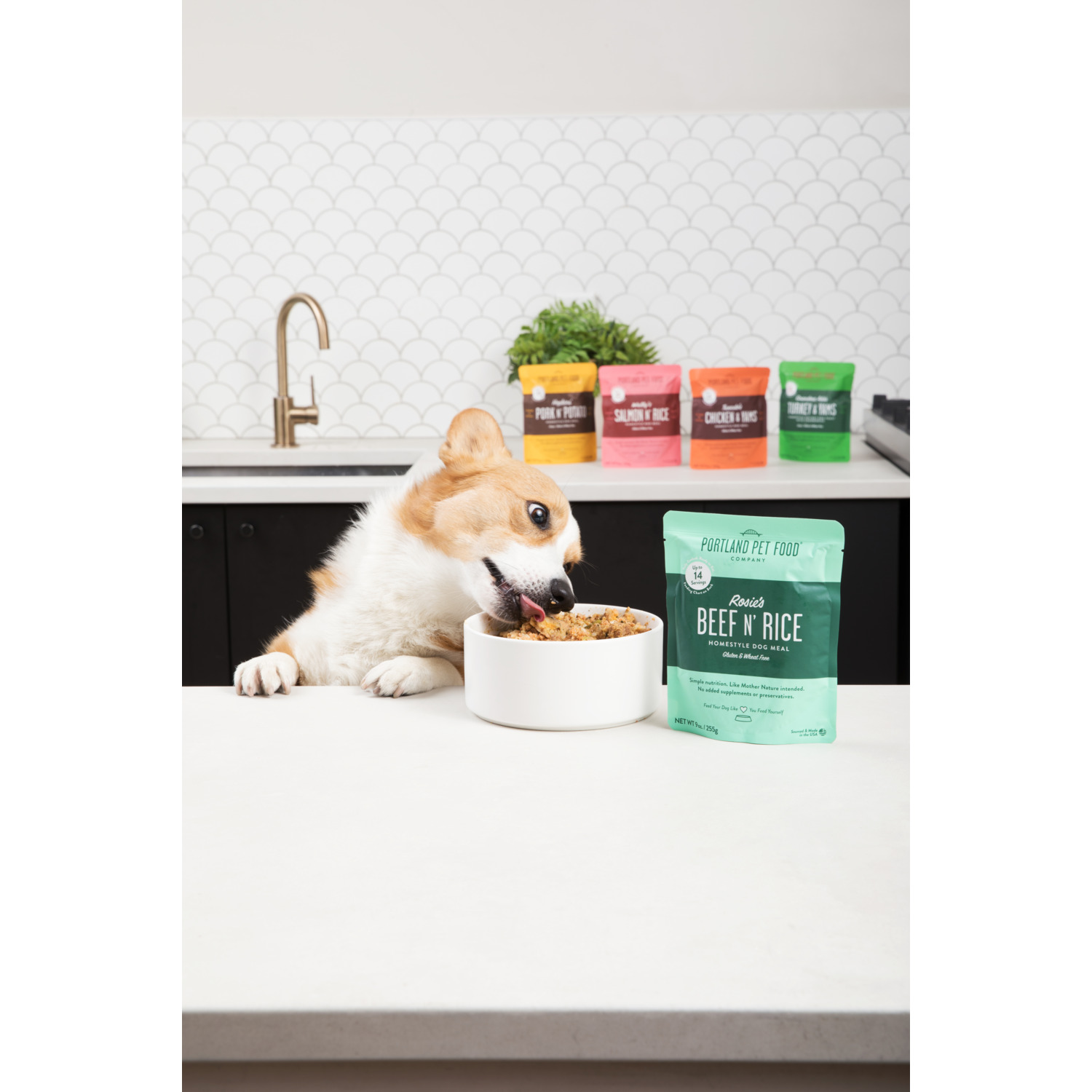 Portland Pet Food Company Rosie's Beef N' Rice Homestyle Gently Cooked Wet Dog Food