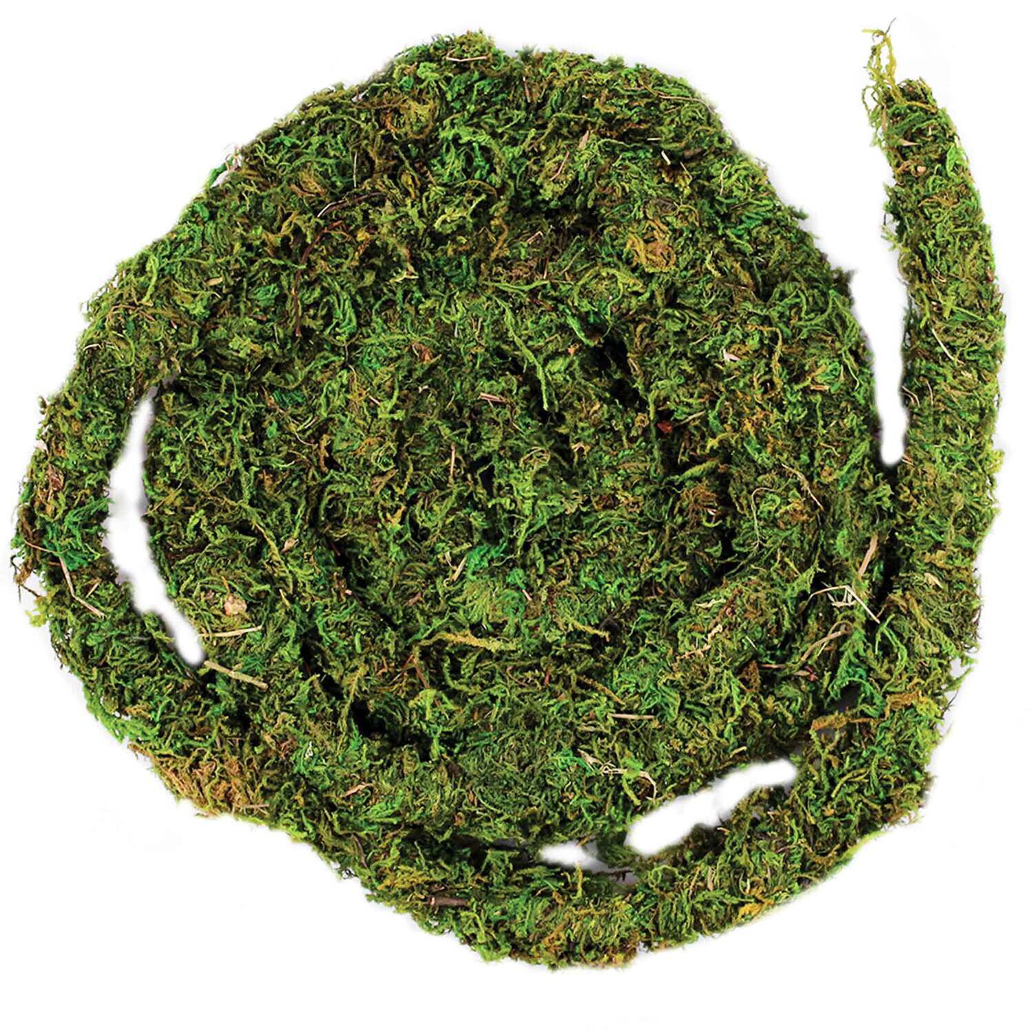 Gal&aacute;pagos Mossvine Terrarium Substrate, Fresh Green, 12Ft