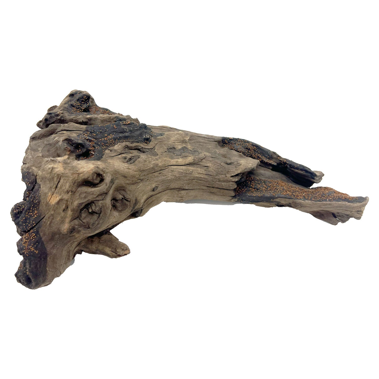 Penn-Plax Tide & Treasure Natural Driftwood Aquarium Decor &ndash; Small