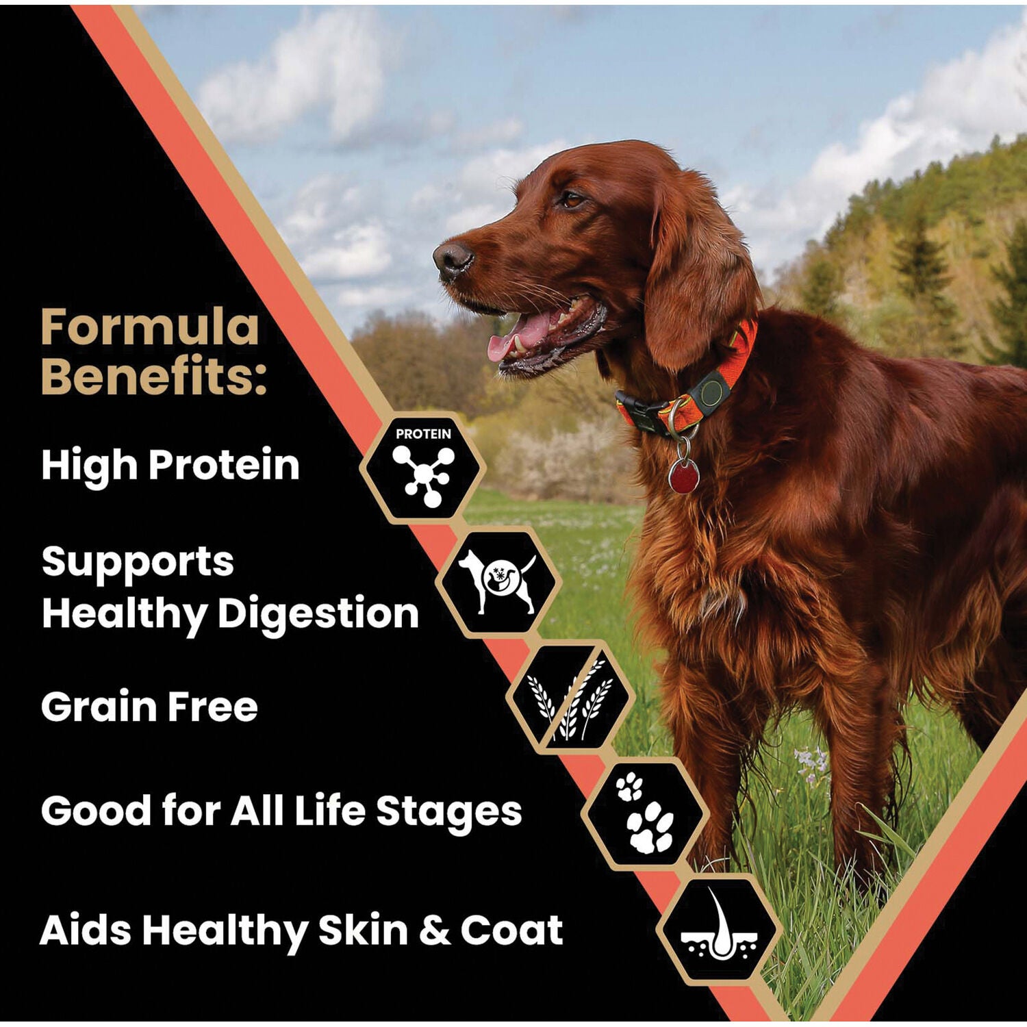 Victor Grain-Free Yukon River Canine Dry Dog Food, 30-Lb