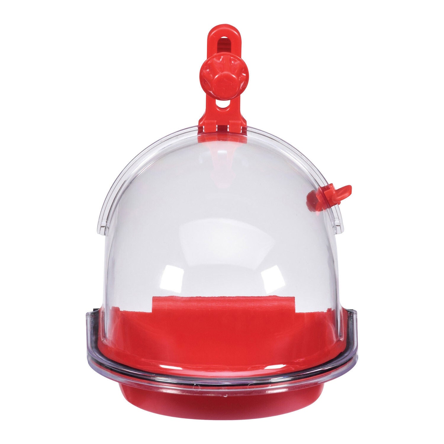 Insight Bird Bath For Birds