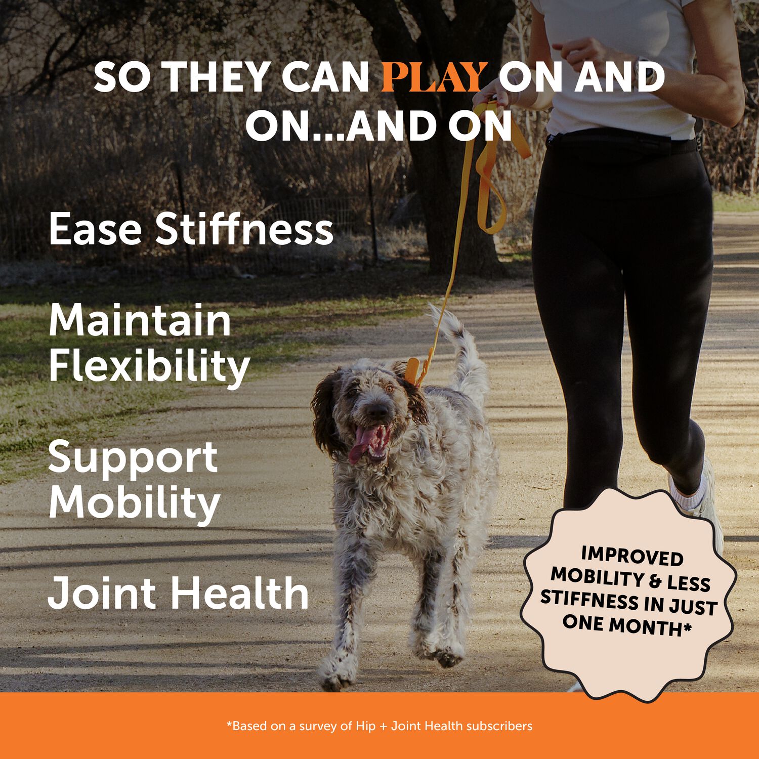 Pet Honesty Hip & Joint Health Soft Chews Dog Supplement, Chicken Flavor, 90-Ct