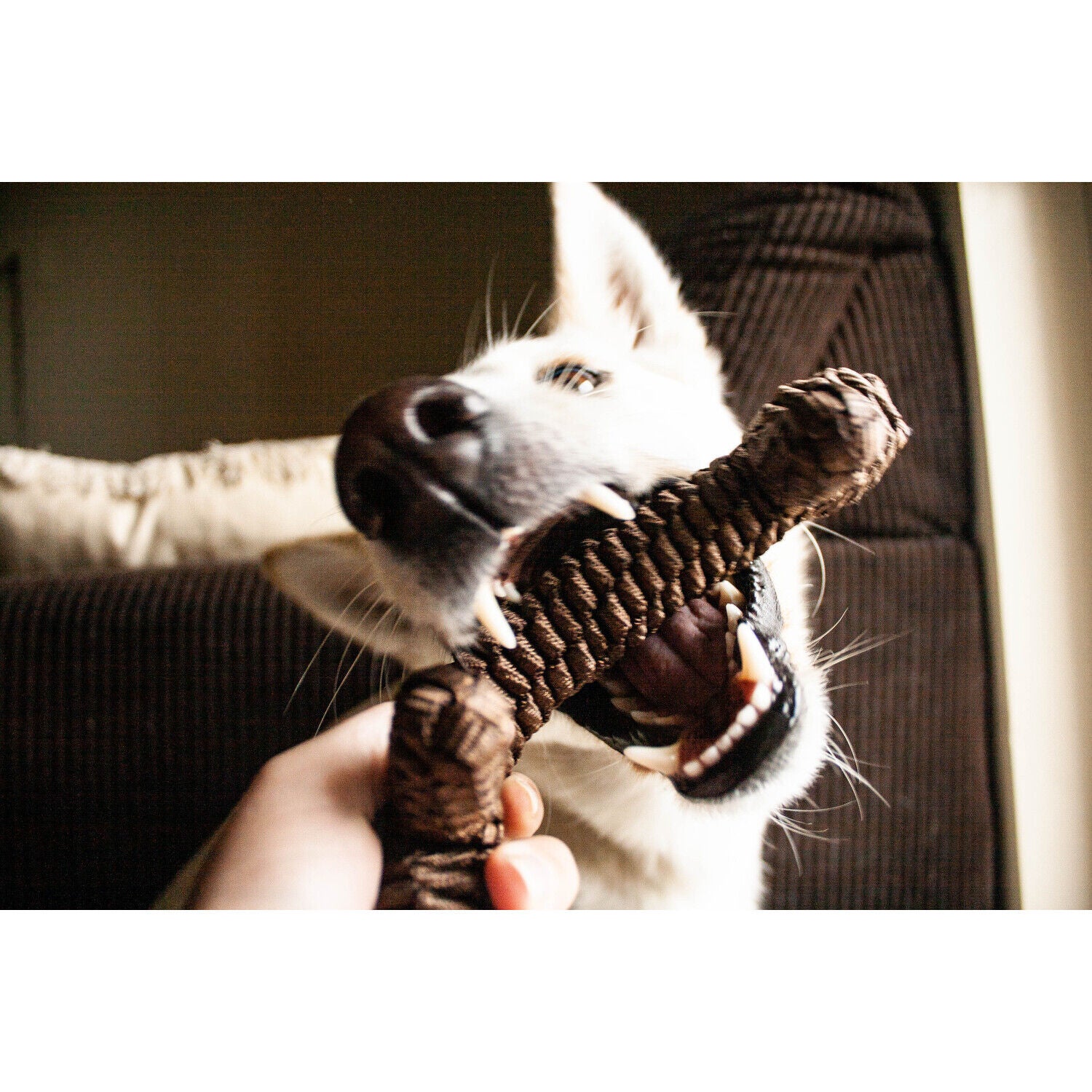 Tall Tails Tug & Toss Brown Braided Stick Dog Toy, 9"