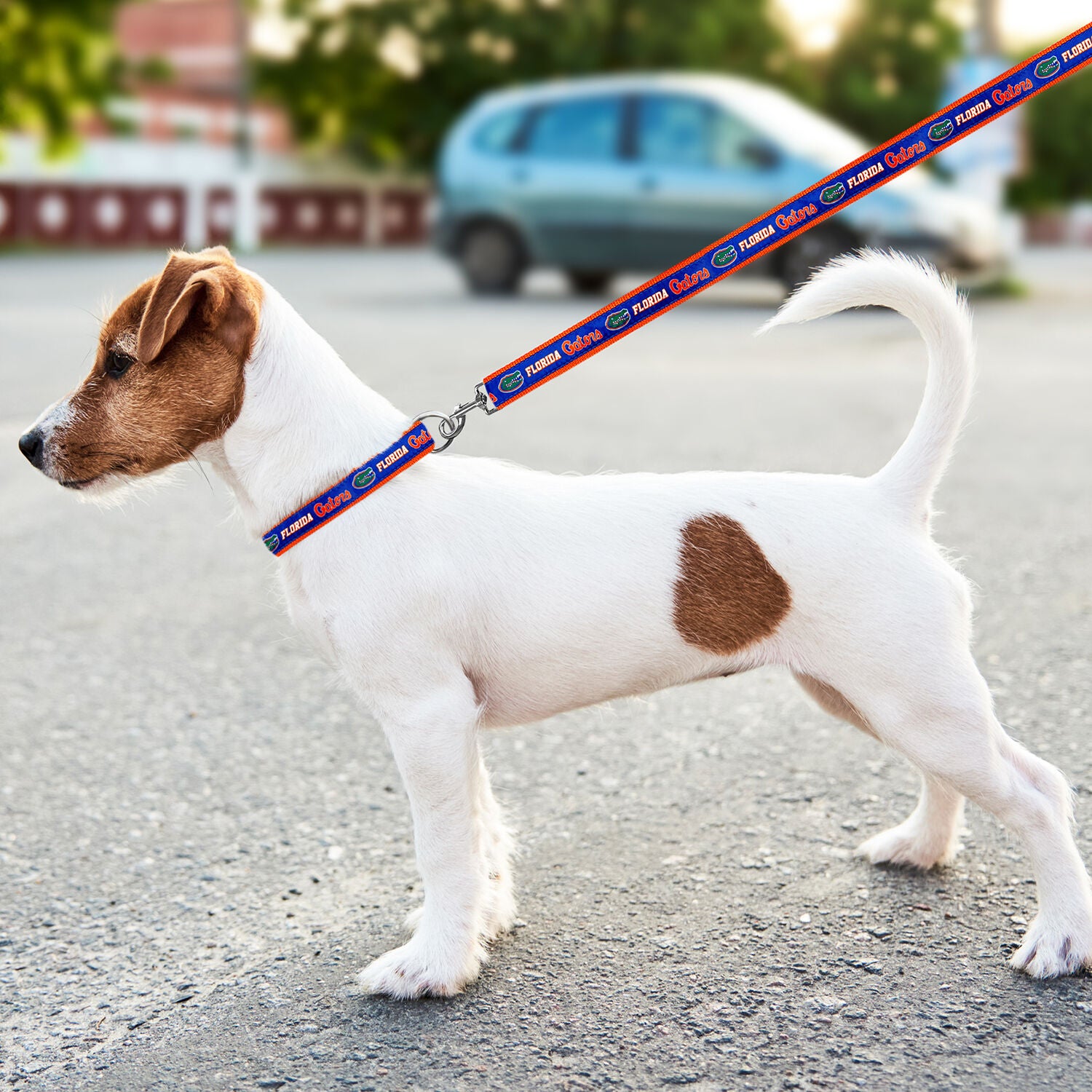 Pets First Ncaa Licensed University Of Florida Gators Satin Dog Leash, Large