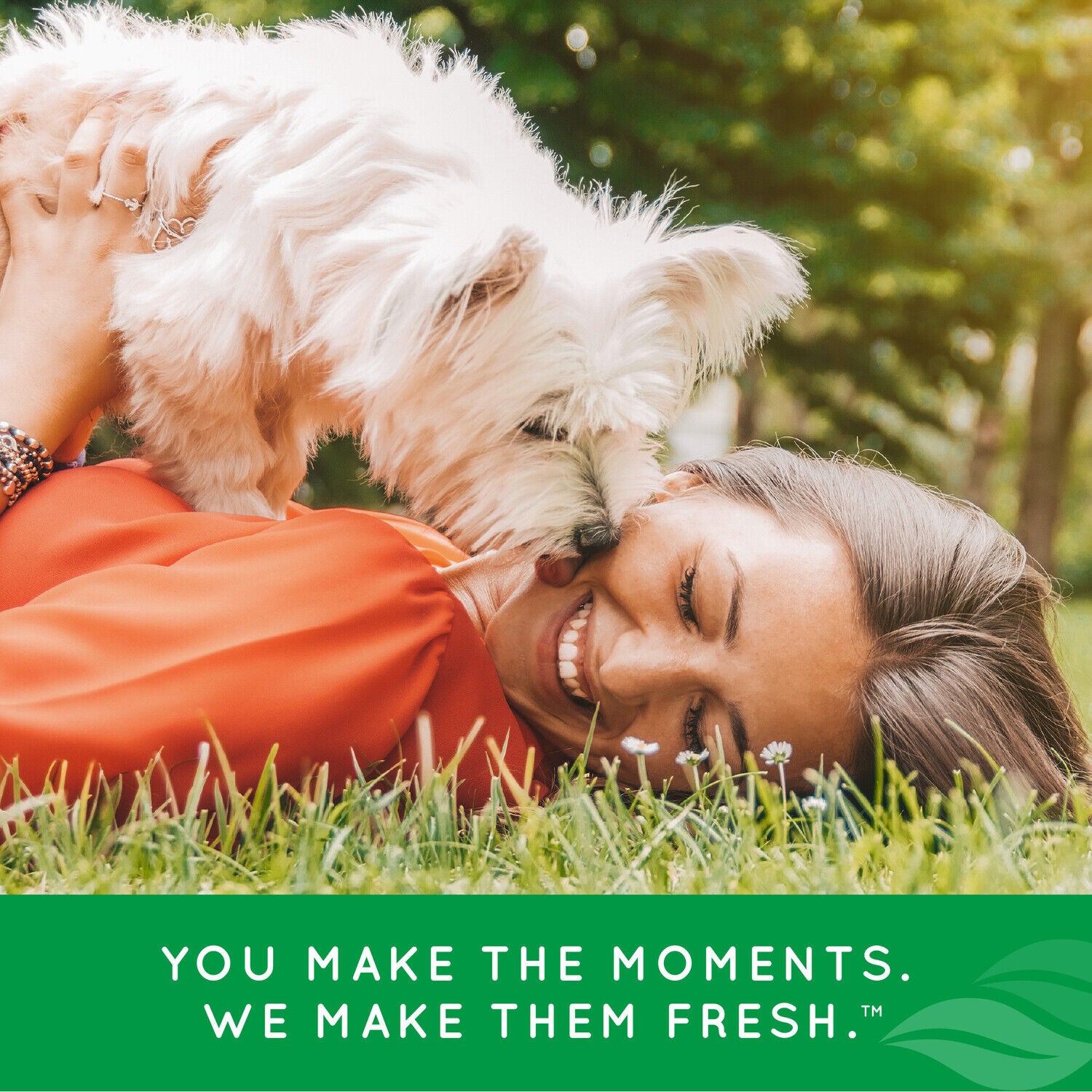 Tropiclean Fresh Breath Enticers Tarter Control Dog Dental Health Kit, Smoked Beef Brisket Flavor, 3-Piece