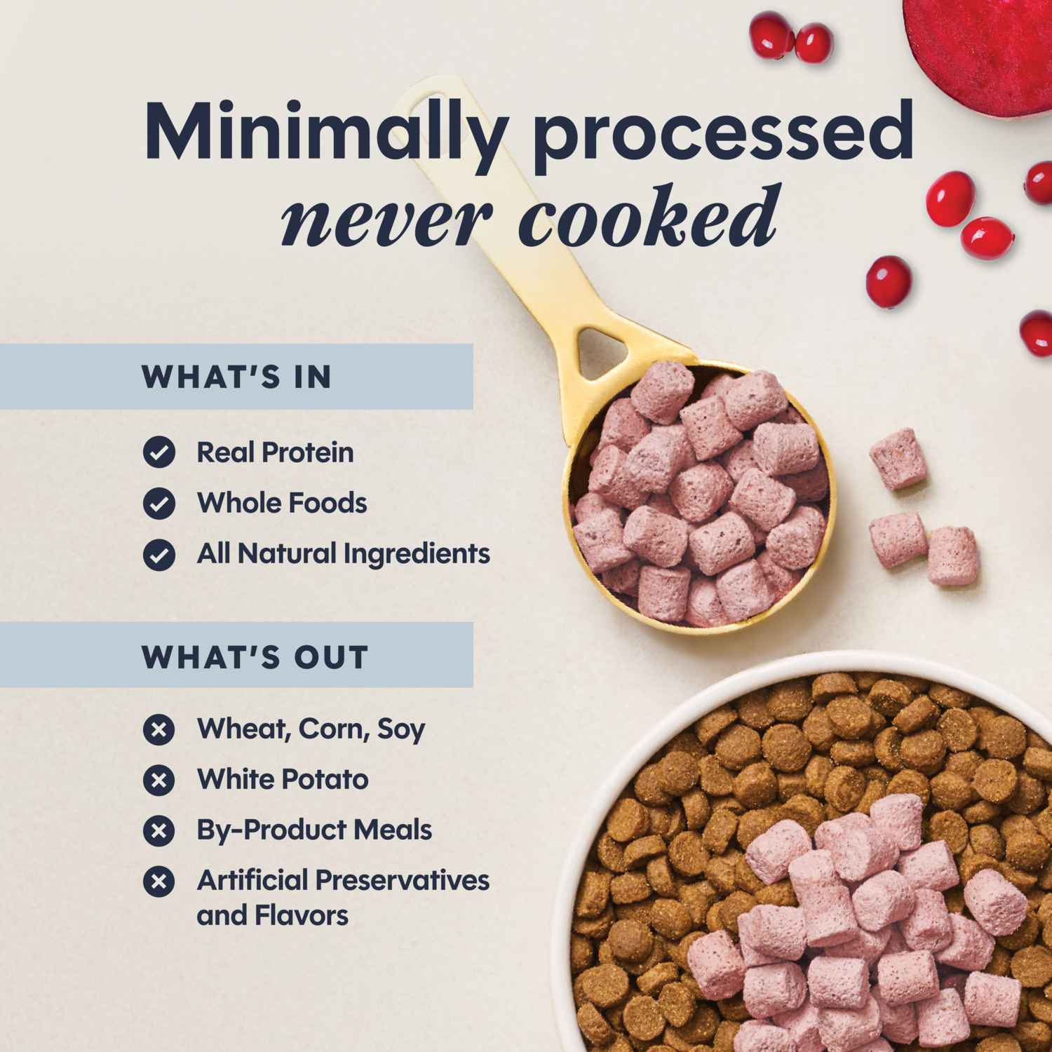 Instinct Rawboost Mixers Grain-Free Skin & Coat Health Recipe Cat Food Topper, 5.5-Oz Bag