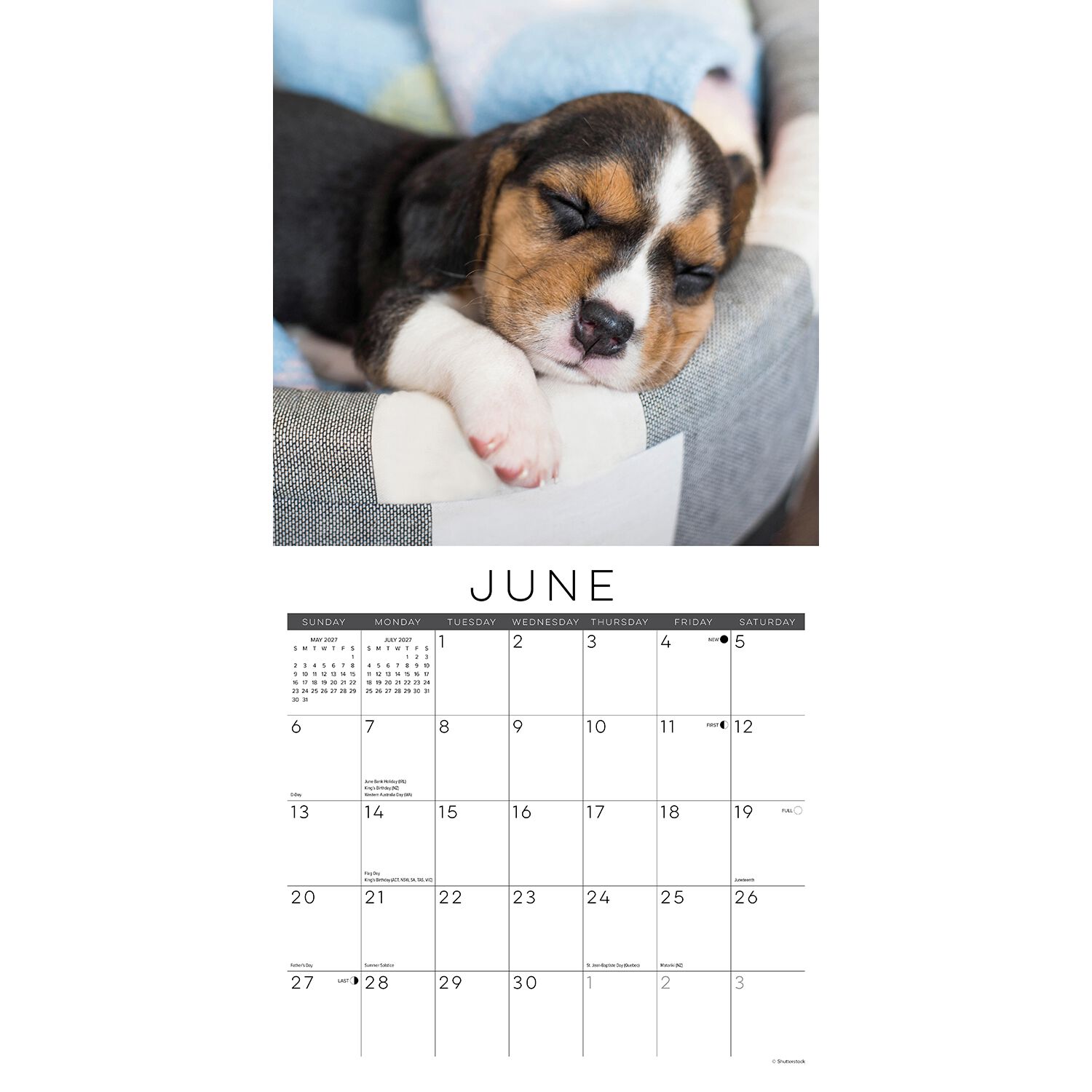 Willow Creek Press Naptime: Dogs & Puppies On Their Best Behavior 2027 Wall Calendar