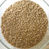 Fast Clumping Unscented Natural Clumping Wheat Litter thumbnail number 6