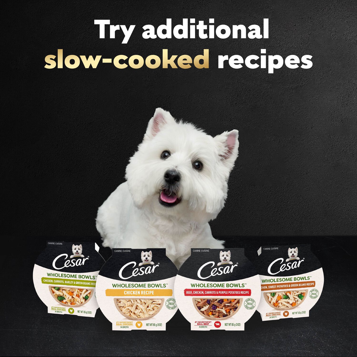 Cesar Wholesome Bowls Wet Dog Food Chicken Recipes Variety Pack, 3Oz/6Ct