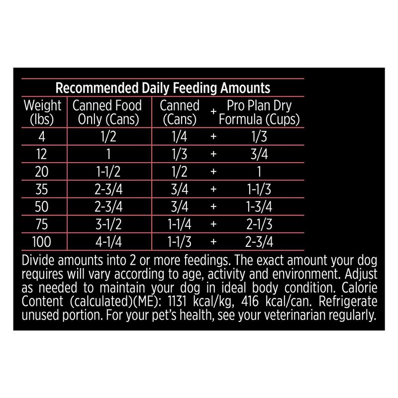 Focus Adult Sensitive Skin & Stomach Salmon & Rice Entree Dog Food
