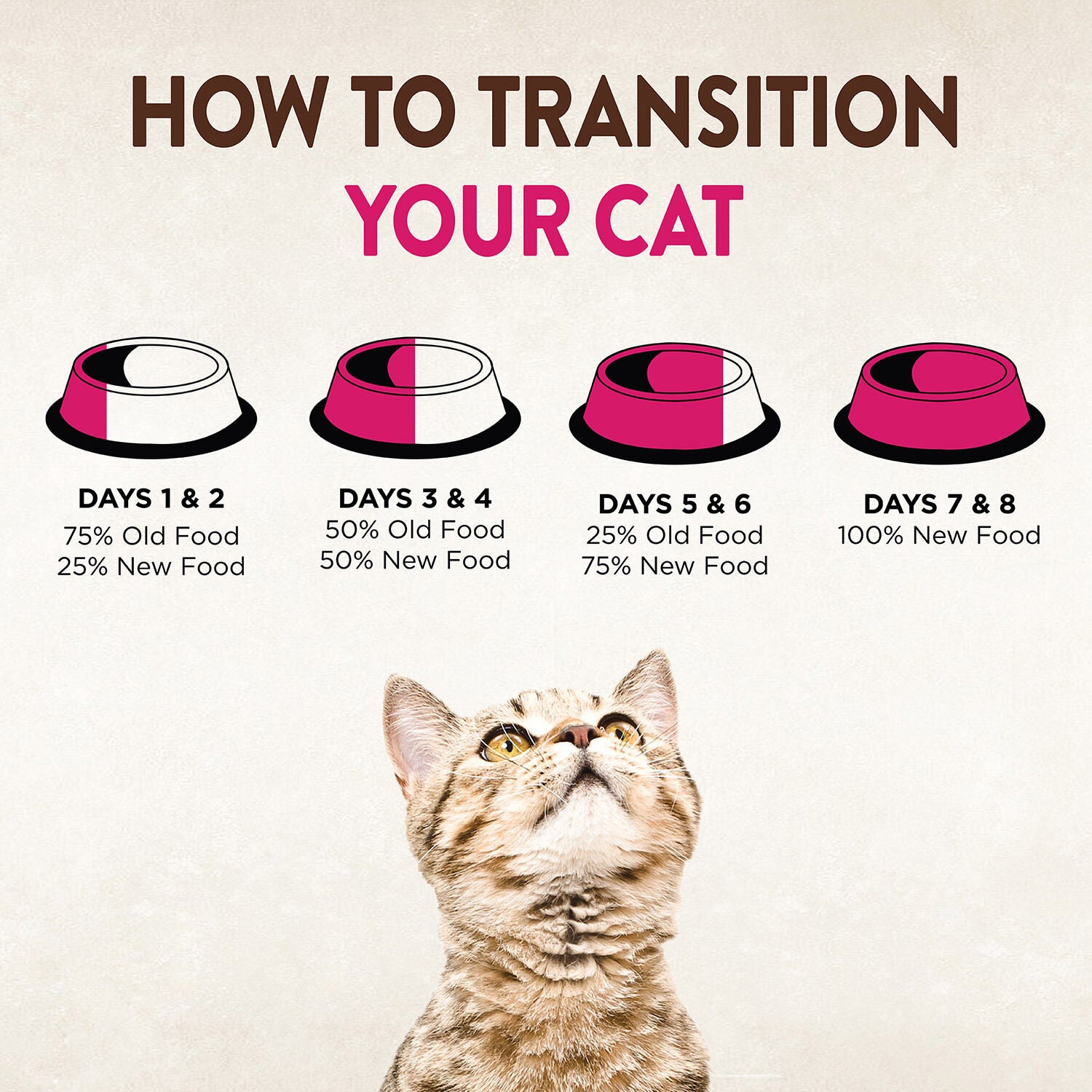 Wellness Core Hearty Cuts Natural Grain Free Whitefish & Salmon Recipe Wet Cat Food
