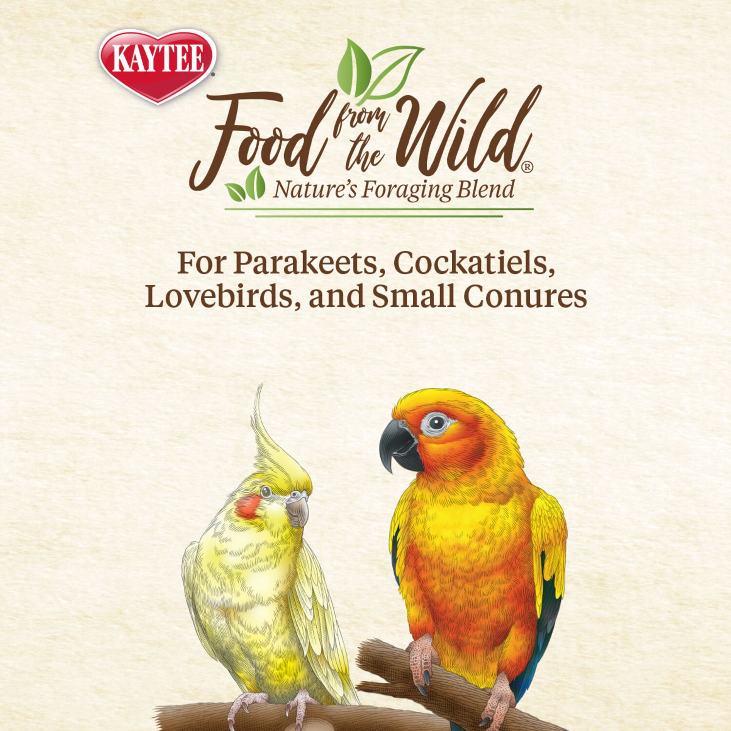 Kaytee Food From The Wild Limited Ingredient Natural Snack Small Bird Treats, 3-Oz