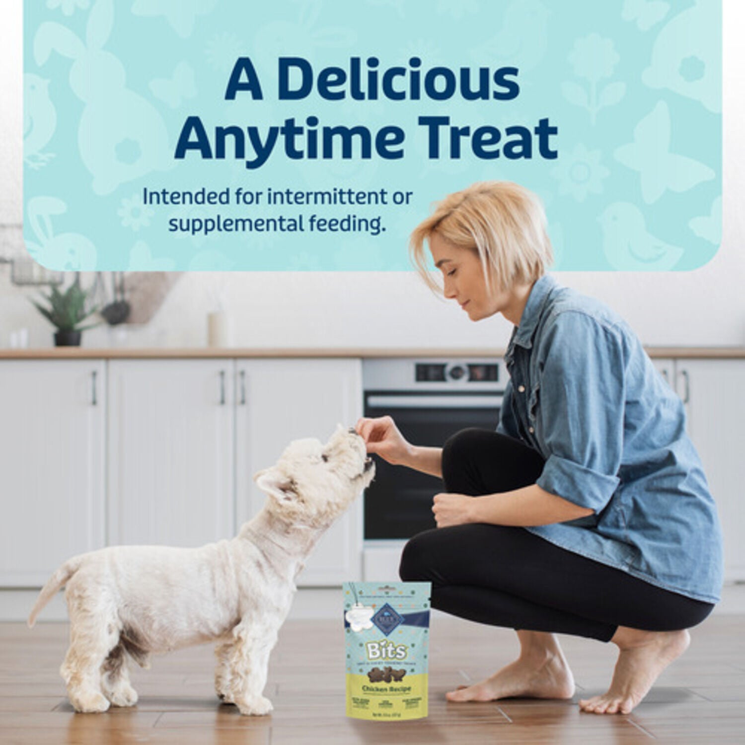 Blue Buffalo Bits Soft & Chewy Spring Dog Training Treats, Chicken Recipe, 4.5-Oz