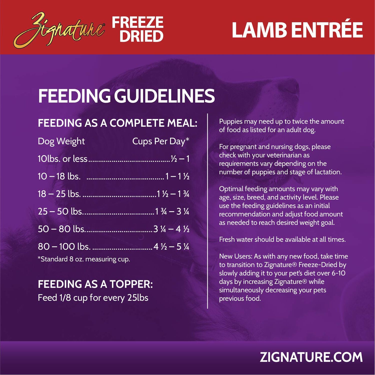 Zignature Grain-Free Lamb Entr&eacute;e Freeze-Dried Dog Food, 12.5-Oz Bag