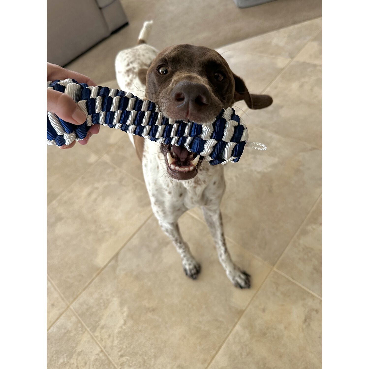 Tall Tails Navy Braided Bone Dog Toy, 9"