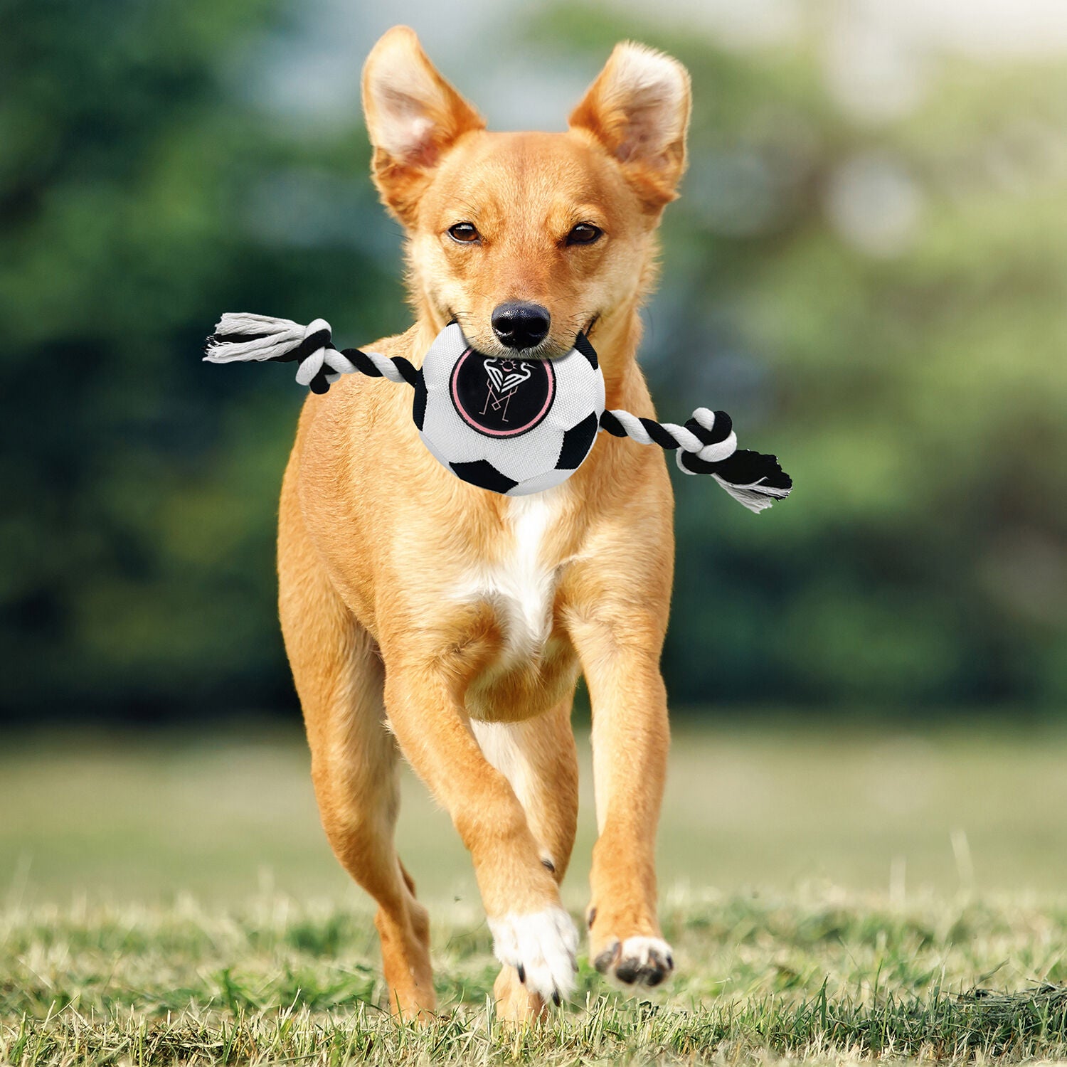 Pets First Inter Miami Soccer Ball Rope Tug Dog Toy