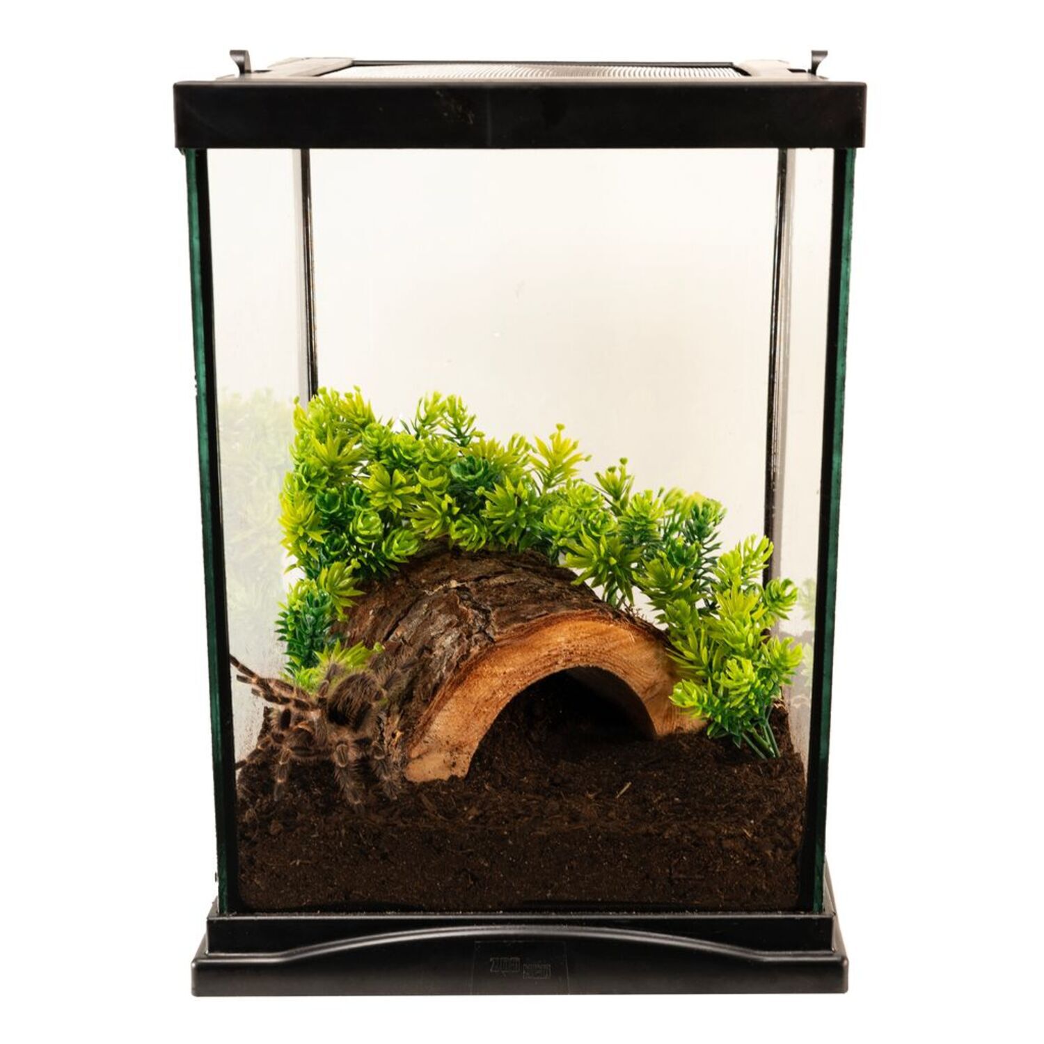Zoo Med Creatures Creature Habitat Kit, 3-Gallon