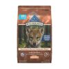 Blue Buffalo Wilderness High Protein Natural Large Breed Puppy Dry Dog Food Plus Wholesome Grains, Chicken