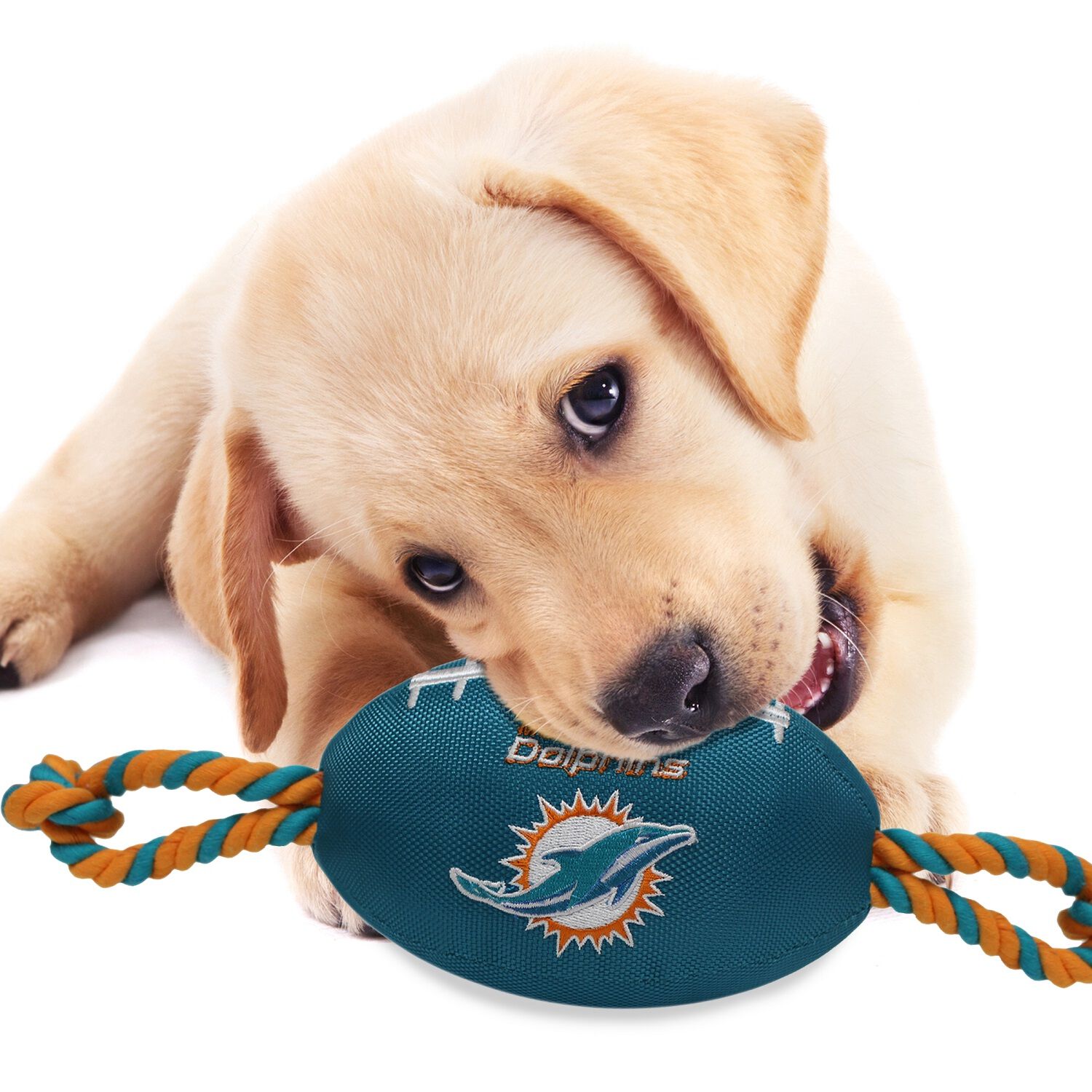 Pets First Miami Dolpins Nylon Football Plush, Rope & Tug Dog Toy