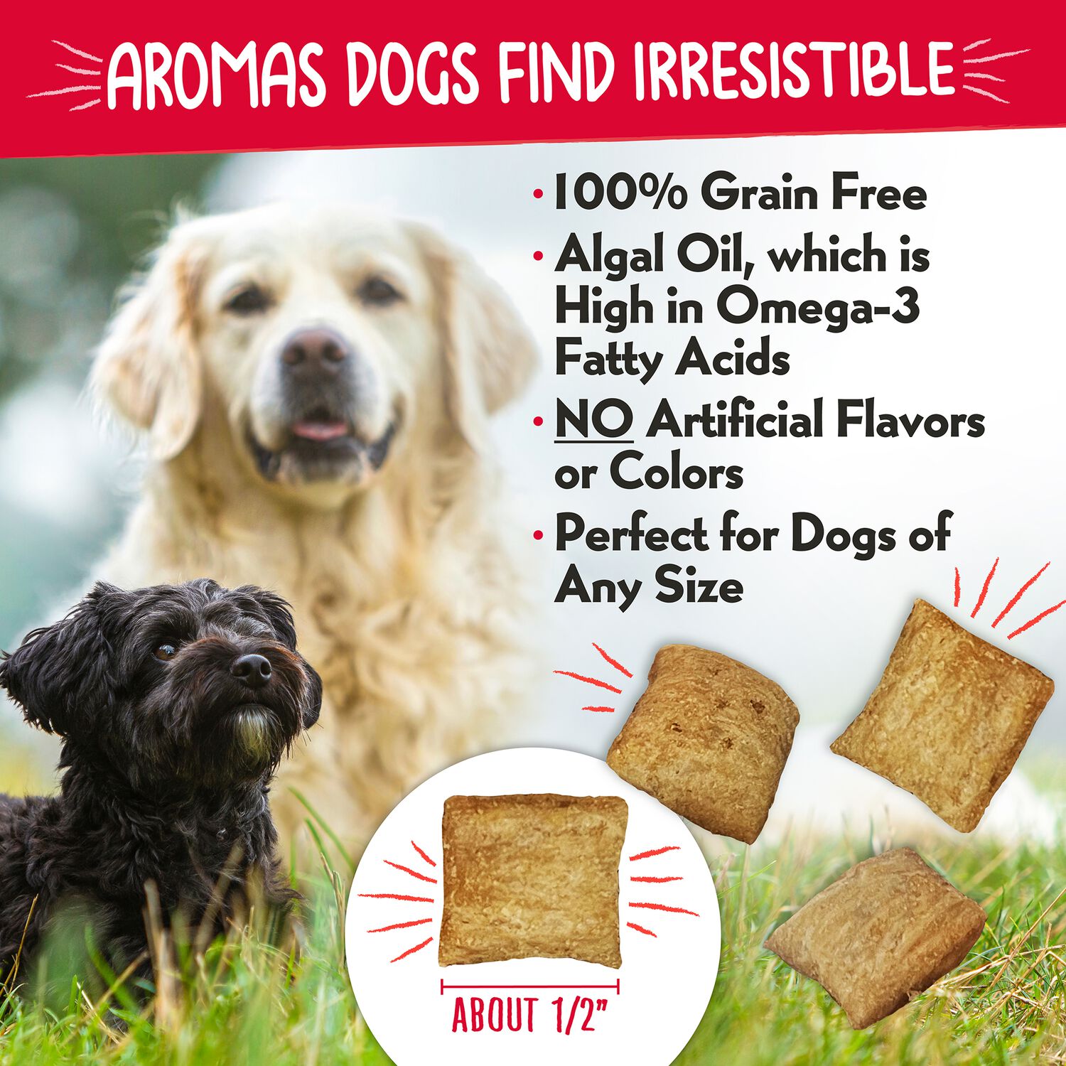 Charlee Bear Nuggets Grain-Free Crunchy Dog Treats With Hip & Joint Support, 6-Oz, Bearcuterie Bites