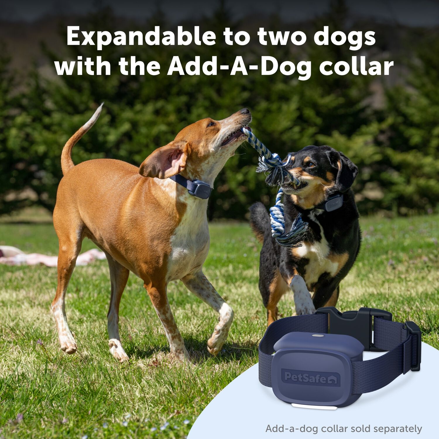 Petsafe Basic Dog Trainer With Remote &ndash; Waterproof Training Dog Collar, 300 Ft Range