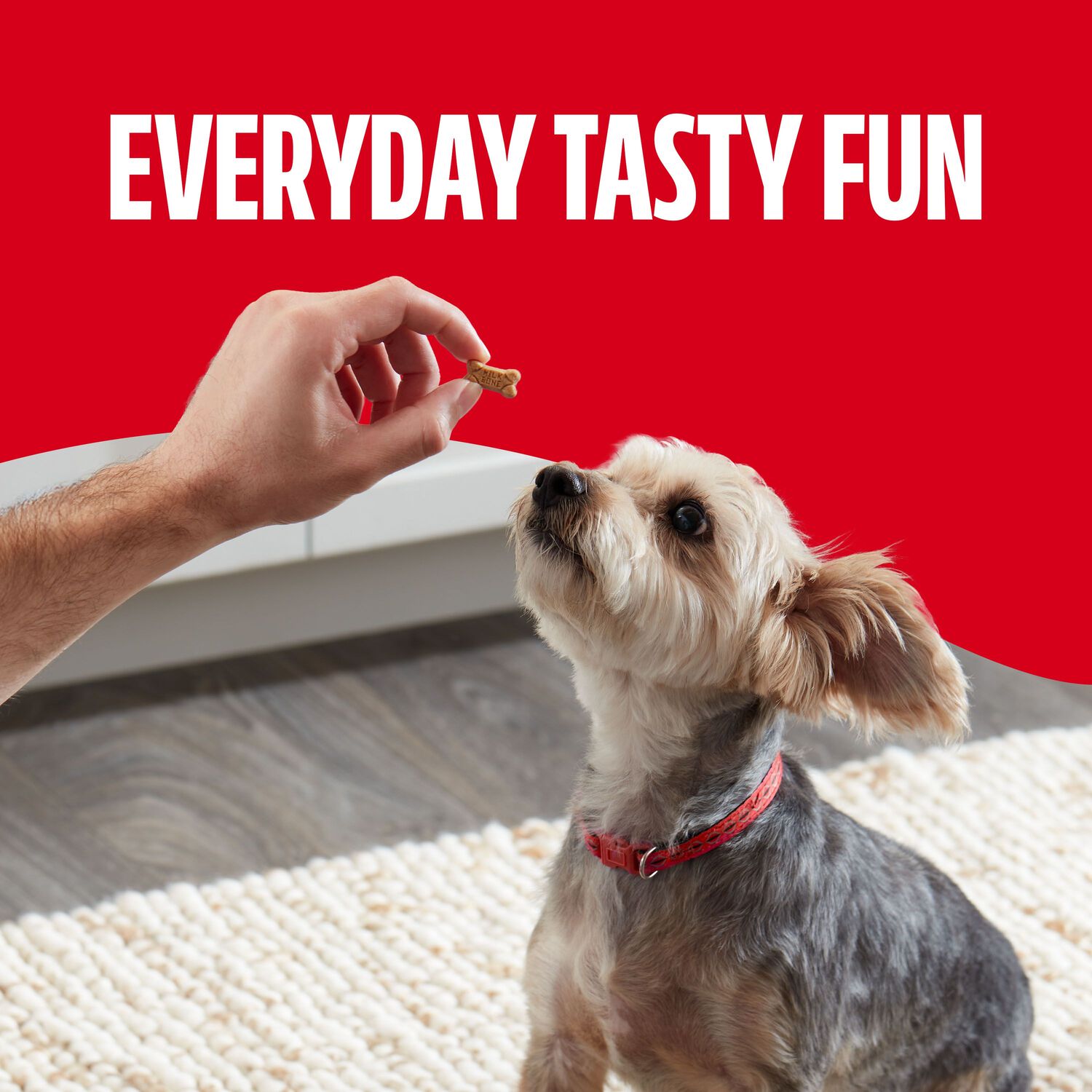 Milk-Bone  Mini&rsquo;S Soft & Chewy Dog Treats, Chicken  Flavor, 18-Oz Canister