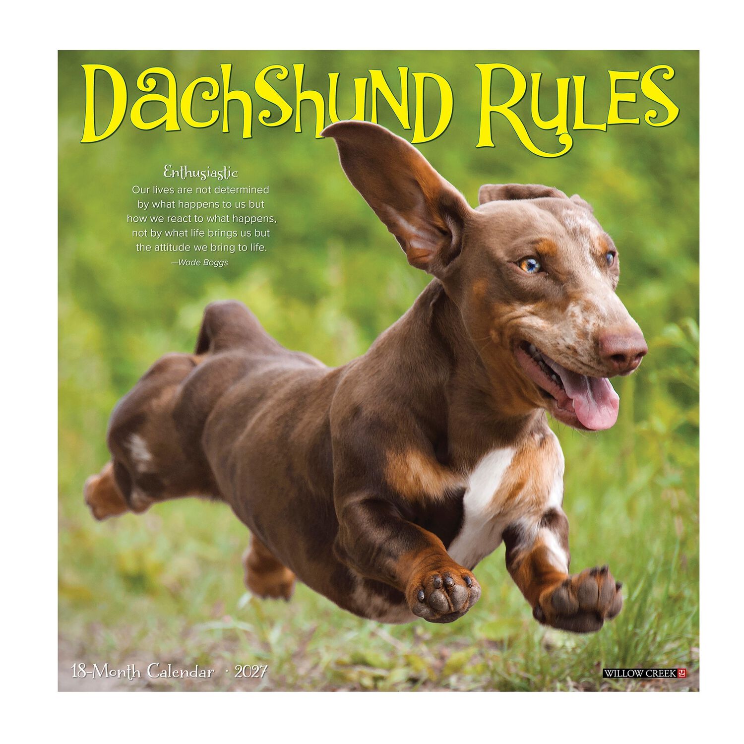 Willow Creek Press Dachshund Rules 2027 Wall Calendar
