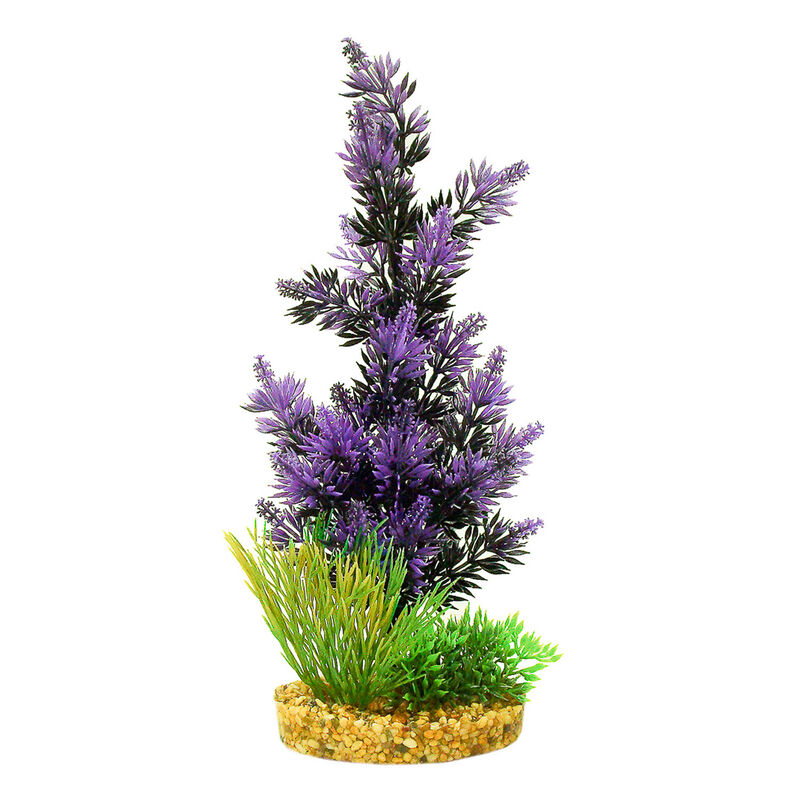 Colorburst Florals Pacifica Plant - Black/Purple Aquarium Plant image number 1