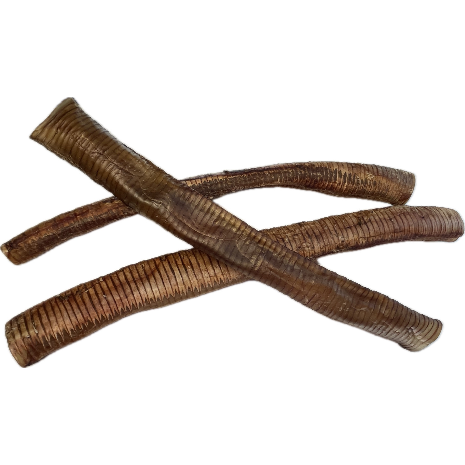 Performatrin Ultra Ostrich Trachea Natural Dog Treat, 12"