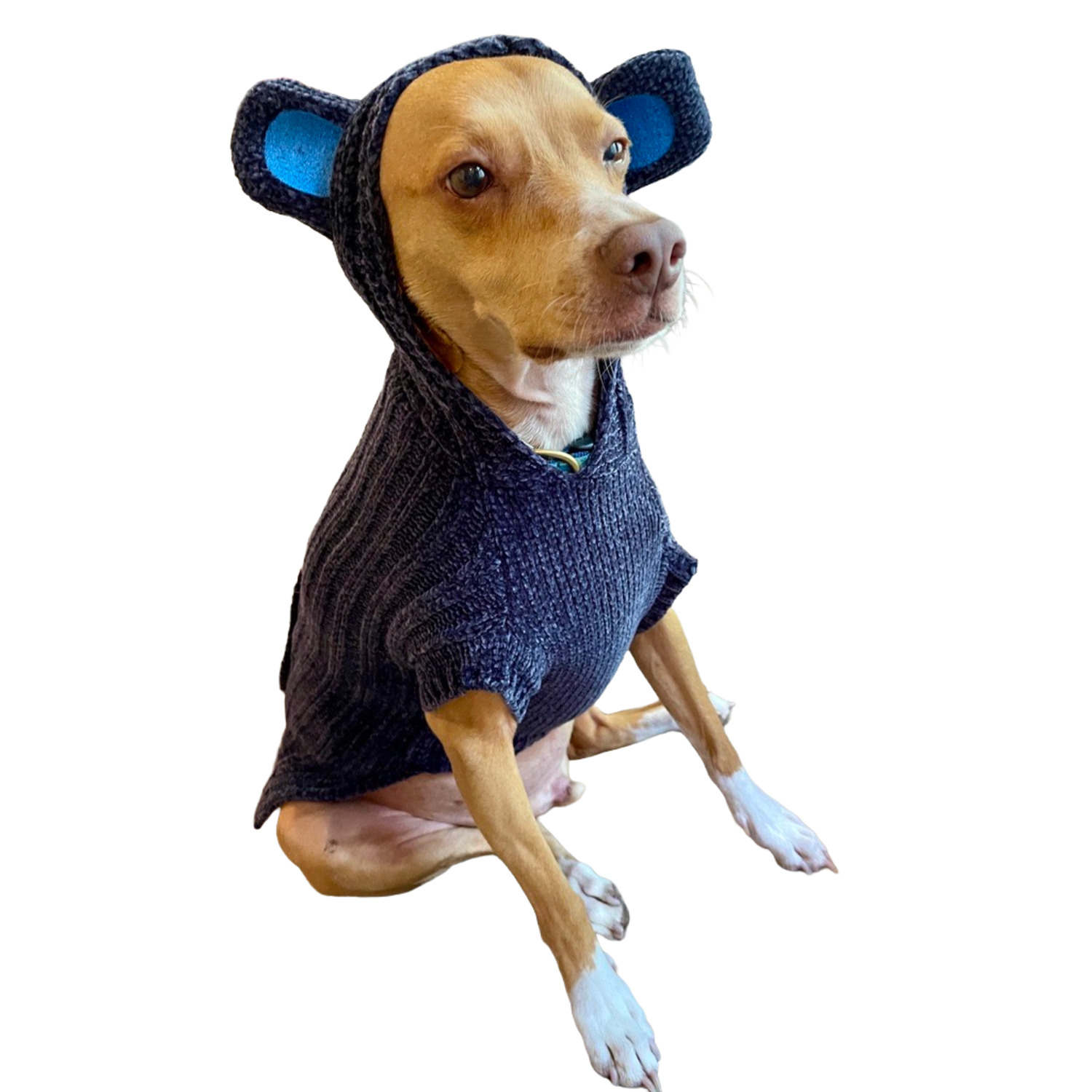 Fabdog Navy Teddy Bear Chenille Hoodie Dog Sweater, Large