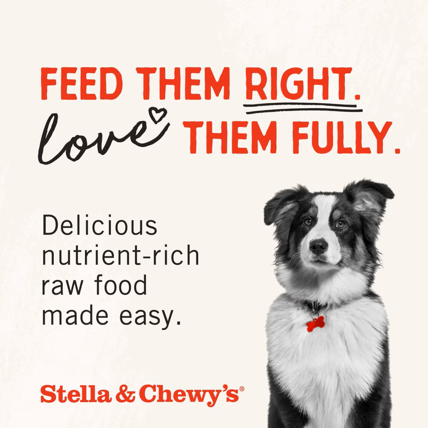 Stella & Chewy's Raw Blend Wholesome Grains Baked Dry Dog Food, Cage Free Recipe, 3.5-Lb Bag