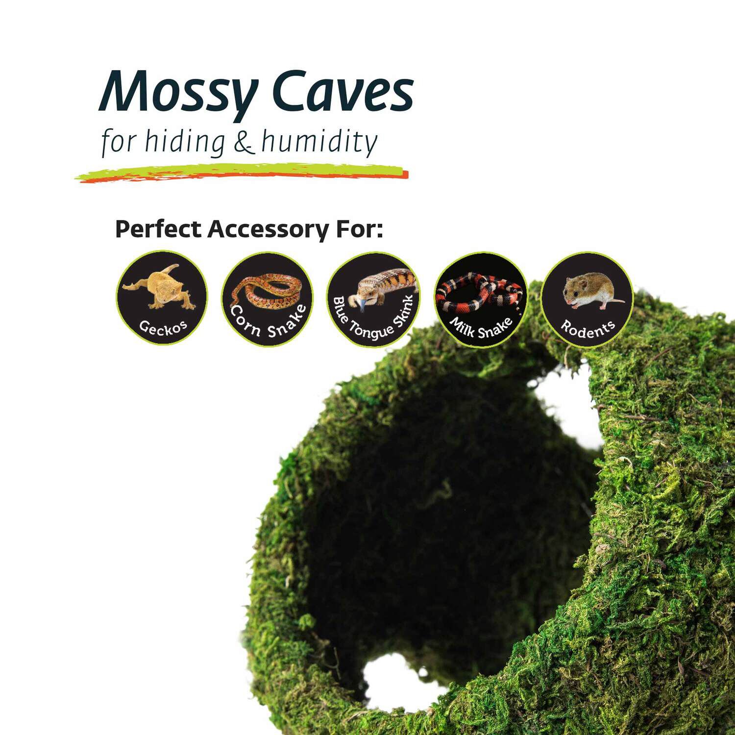 Gal&aacute;pagos Mossy Cave With Holes, Green, 8In Diameter
