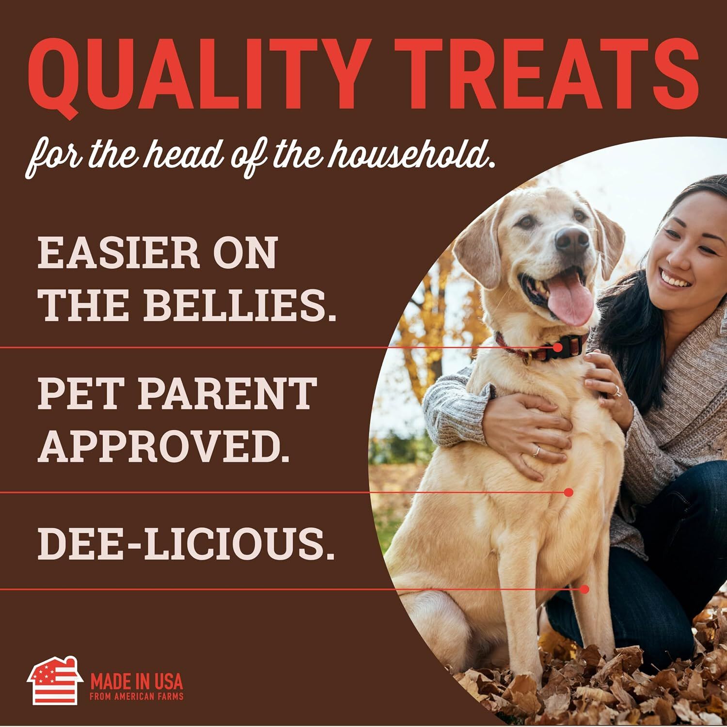 Etta Says! Beef Yumm Stick Dog Treat, 1 Count