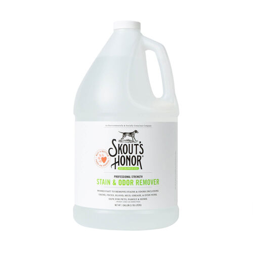 Stain And Odor Remover