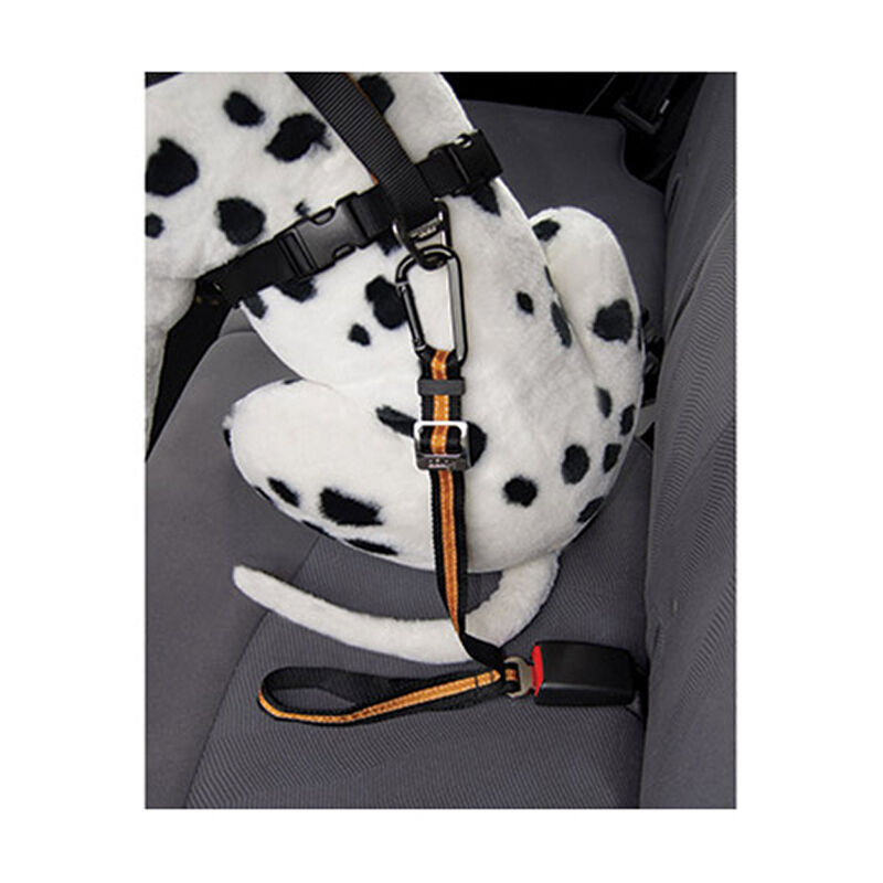 Direct To Seatbelt Tether With Carabiner image number 2
