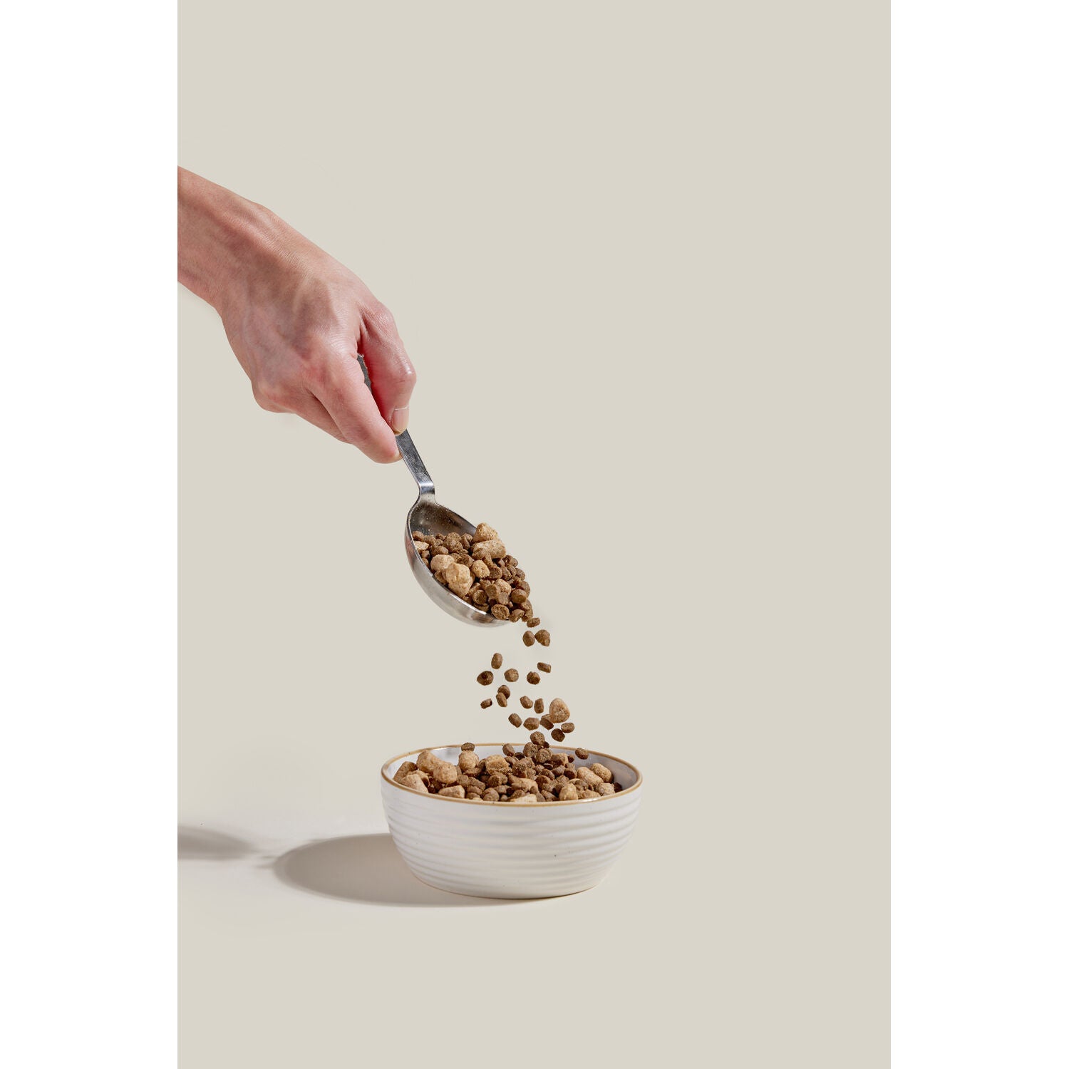 Open Farm Rawmix Kitten Recipe Grain Free Dry Cat Food With Freeze-Dried Raw Morsels, 2.25-Lb Bag